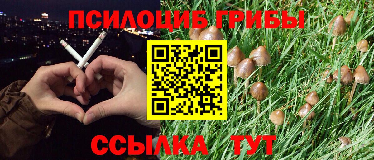 Галлюциногенные грибы прущие грибы Фролово